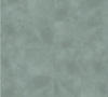 Warm Grey Concrete 2568